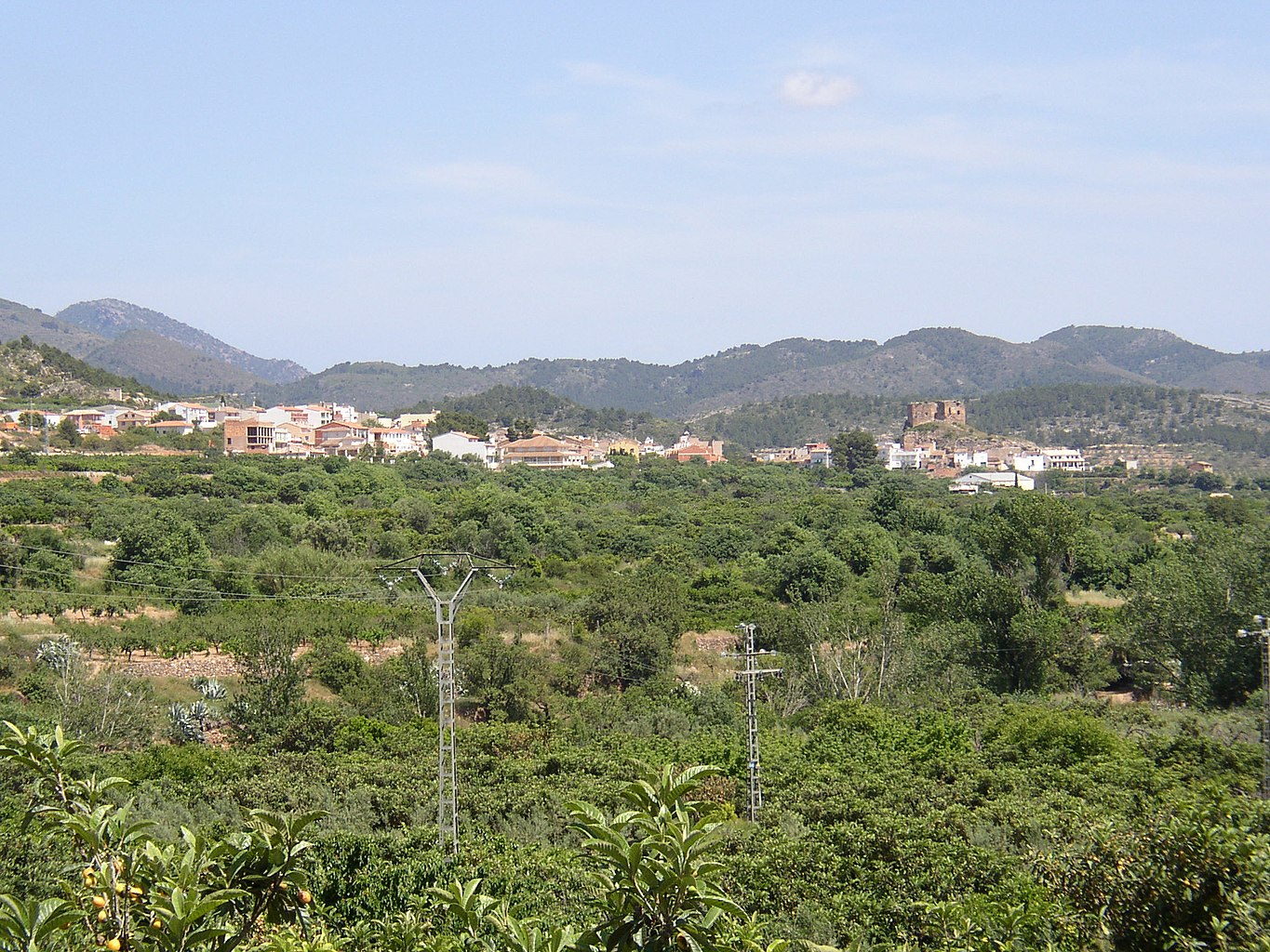 Rótulos en Castellnovo