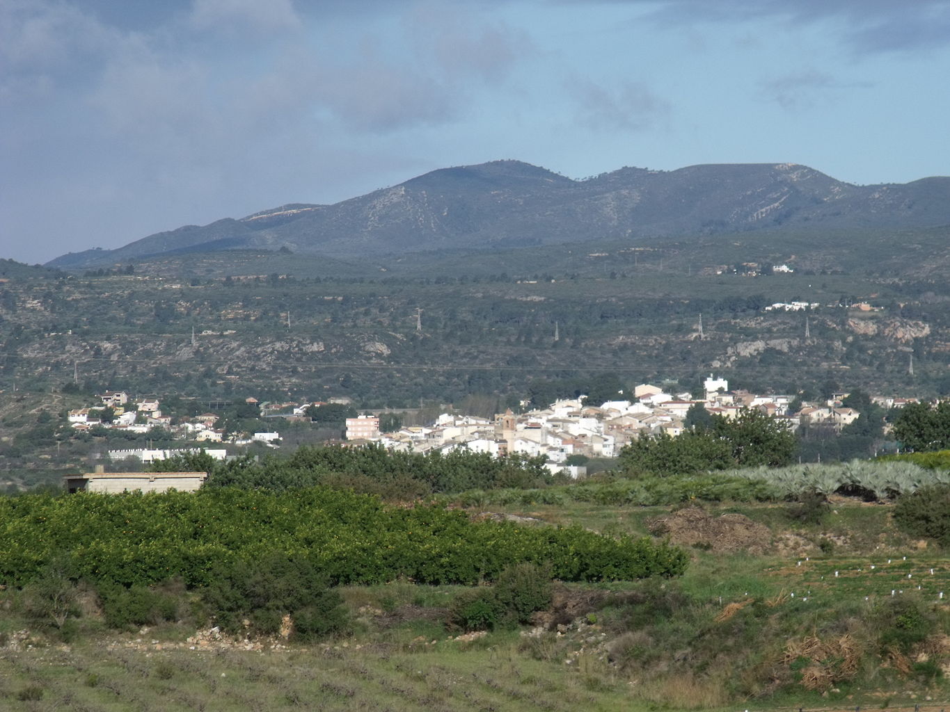 Rótulos en Alborache