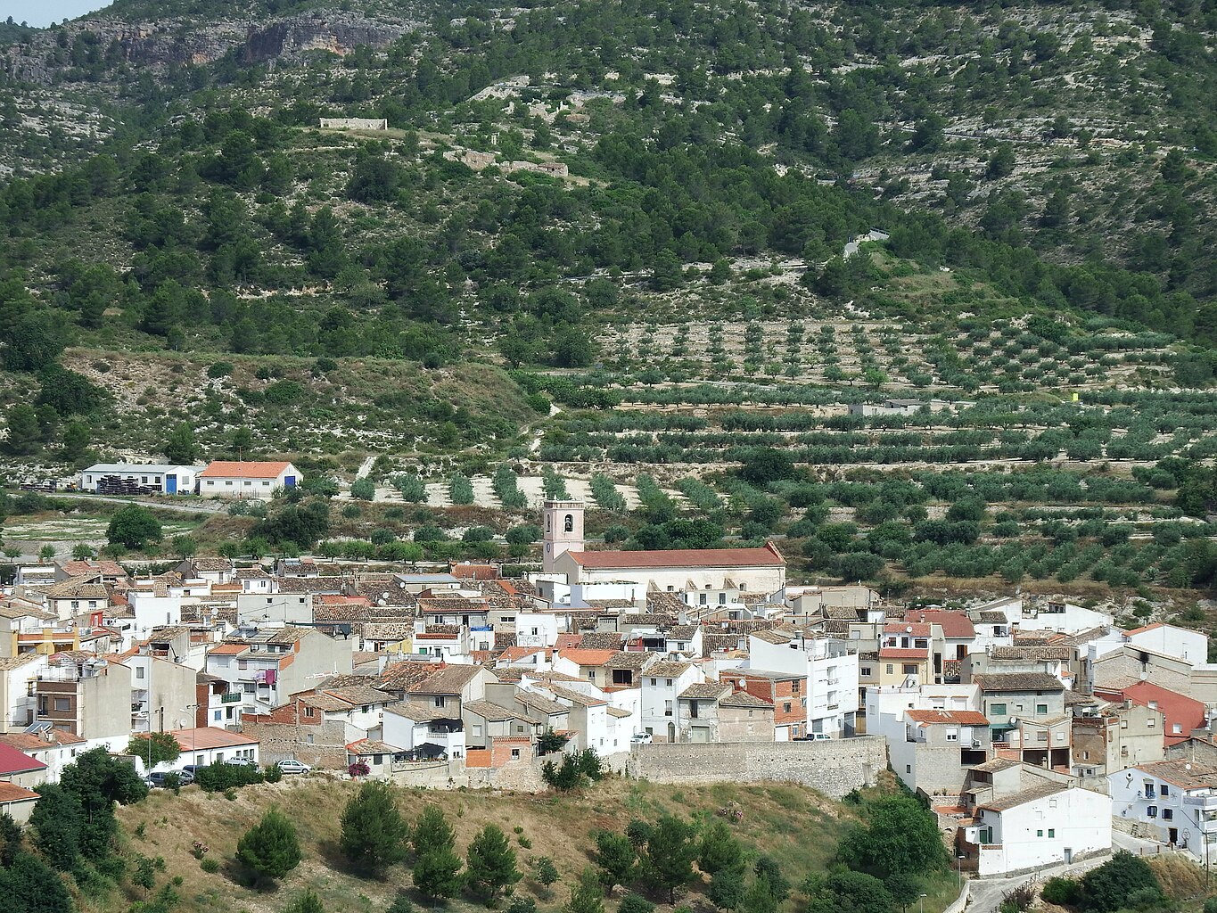 Rótulos en Bicorp