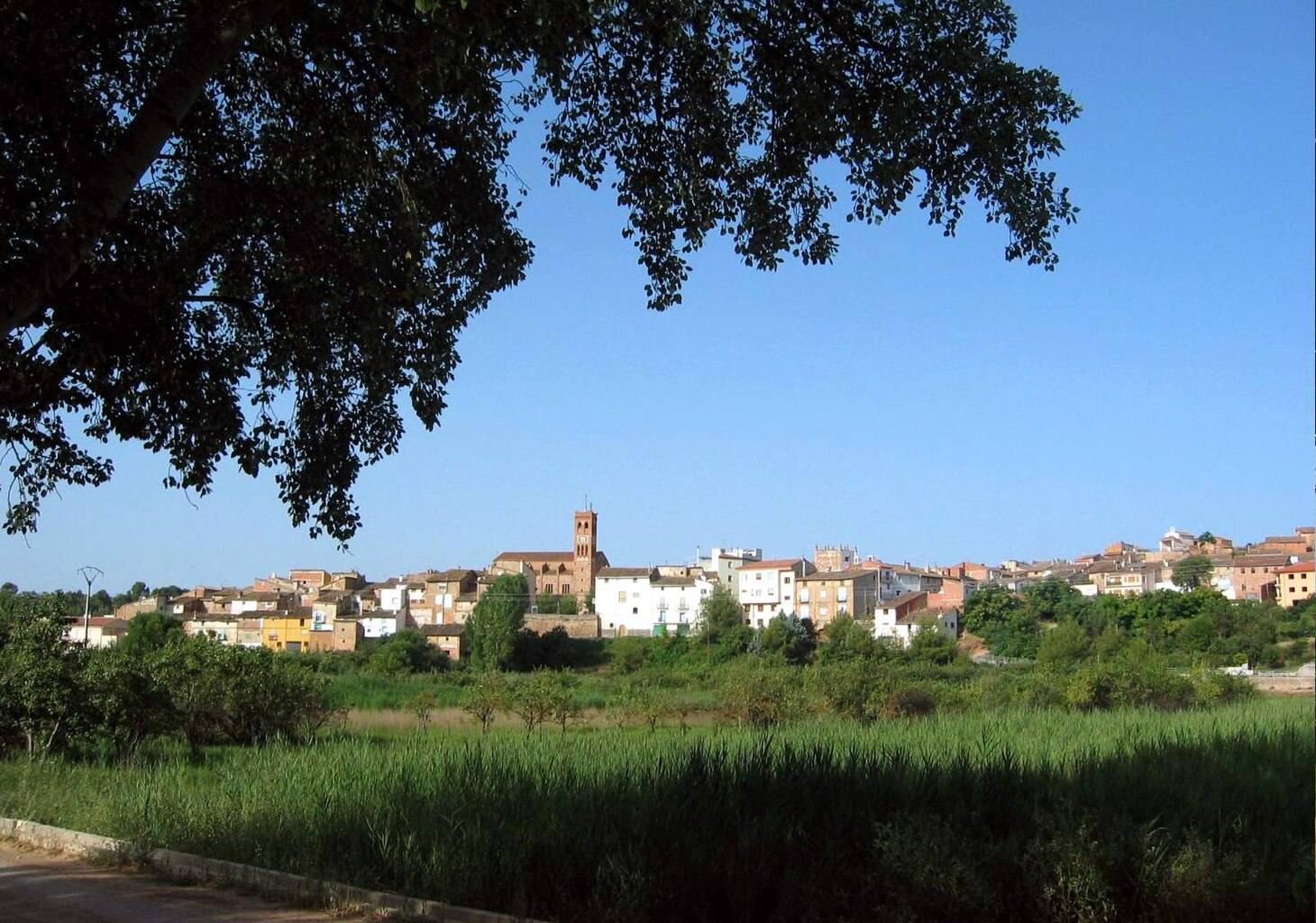 Rótulos en Torrebaja