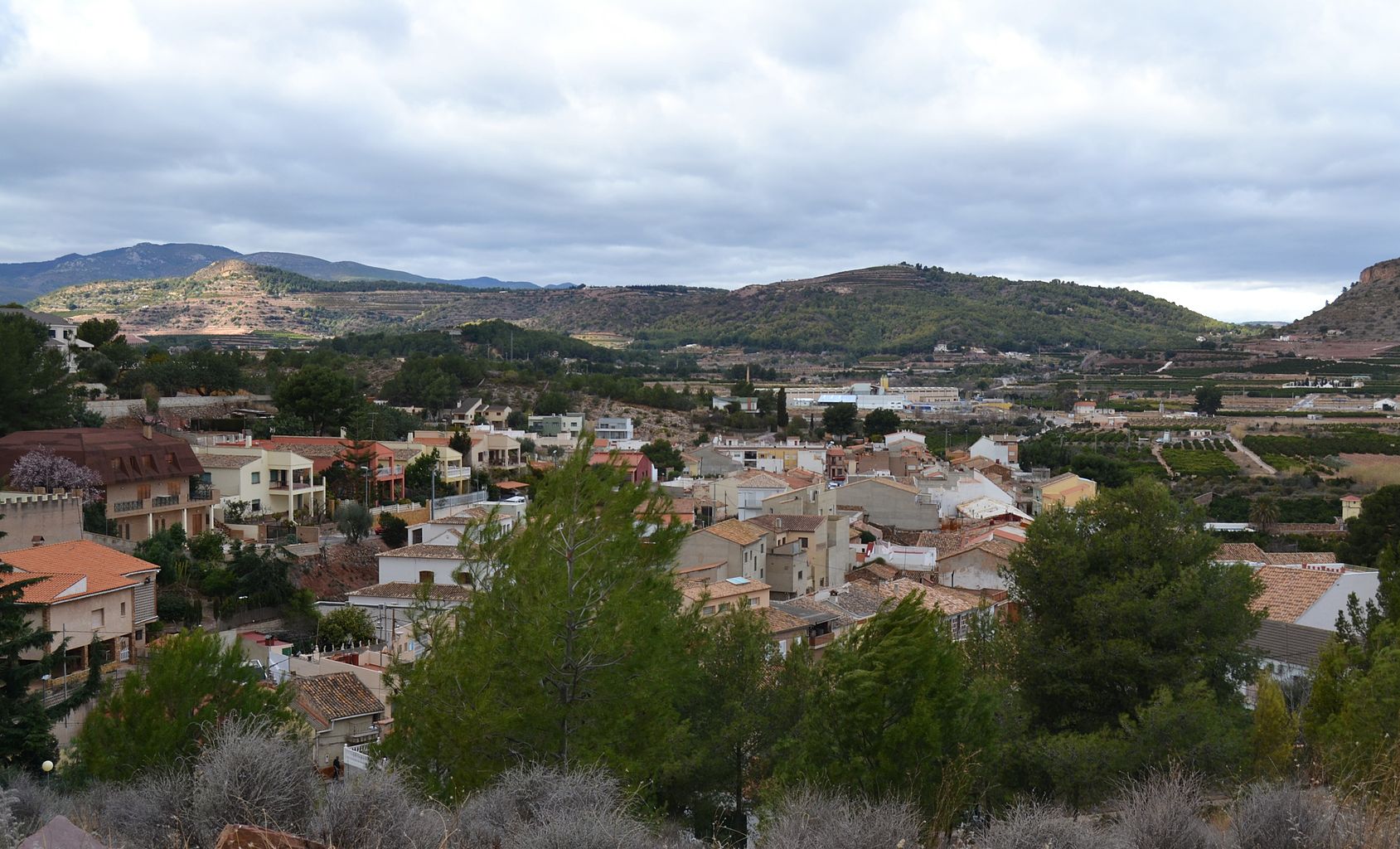 Rótulos en Torres Torres